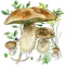 Mushrooms app