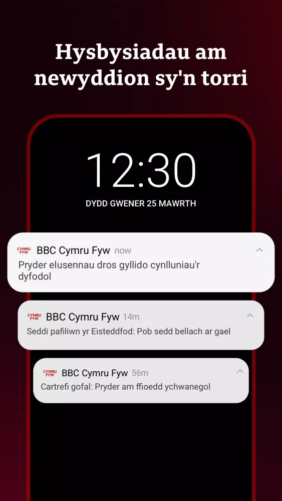 BBC Cymru Fyw Ekran Görüntüleri