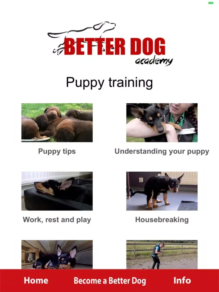 Better Dog Academy iPad  سکرین شاٹس
