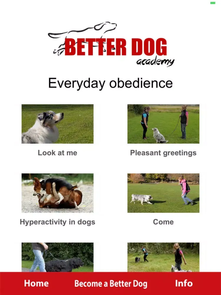 Better Dog Academy iPad  سکرین شاٹس