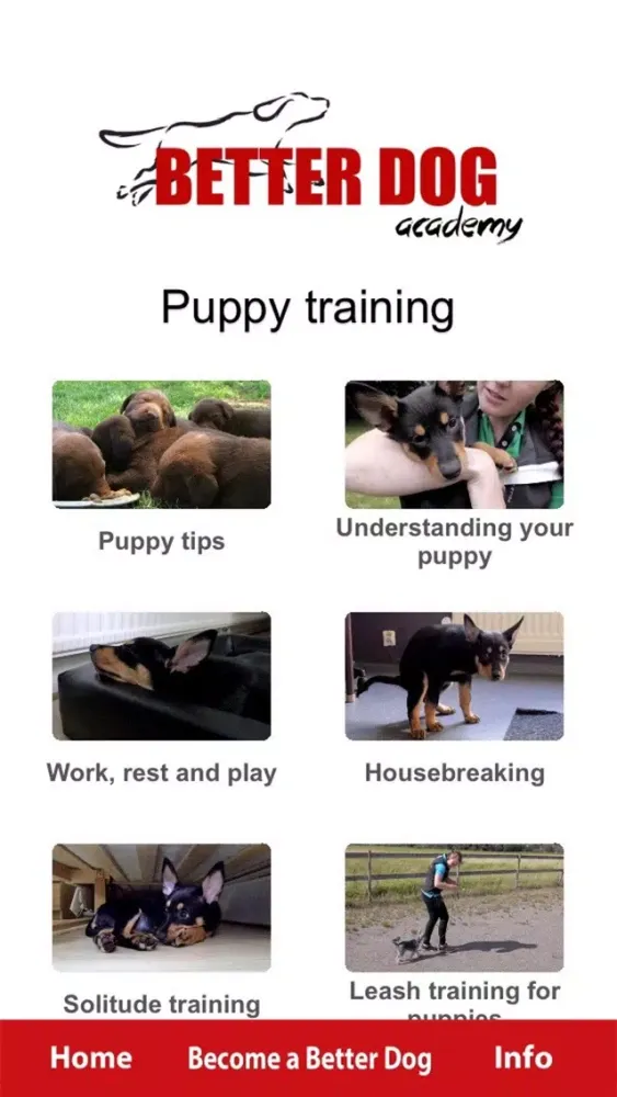 Better Dog Academy سکرین شاٹس