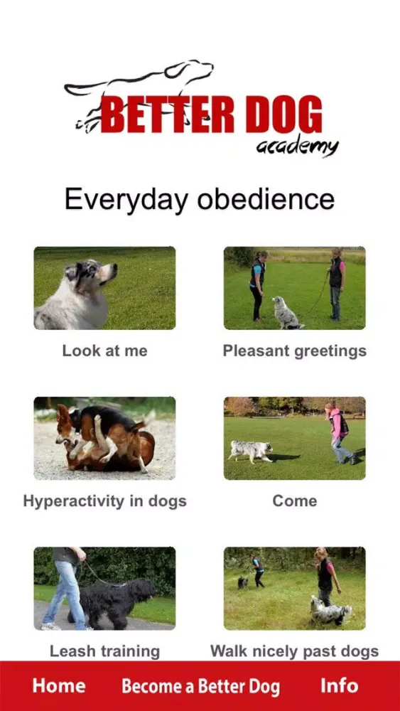 Better Dog Academy سکرین شاٹس