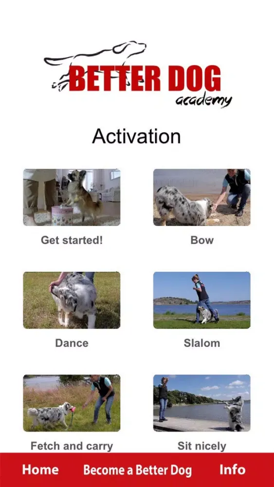 Better Dog Academy سکرین شاٹس