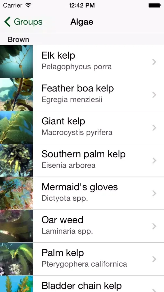 California Kelp Forests 스크린샷