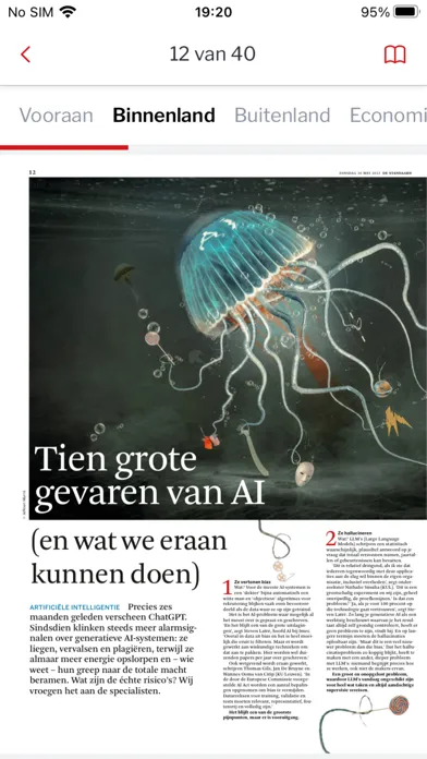Screenshot di DS Krant