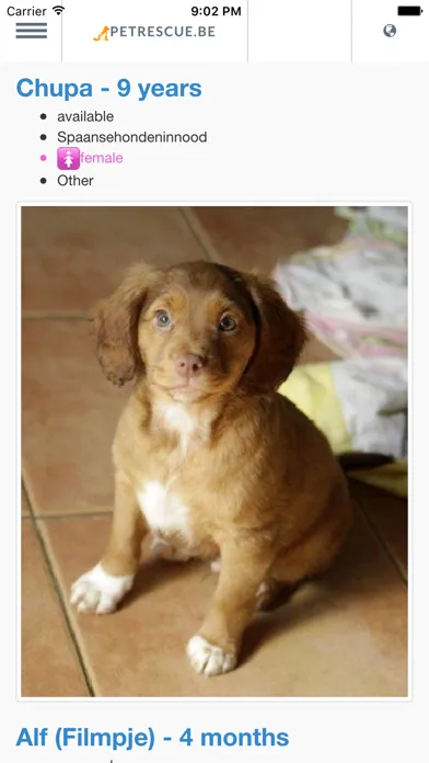 PetRescue.be應用截圖