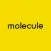 Molecule Fashion & Sport