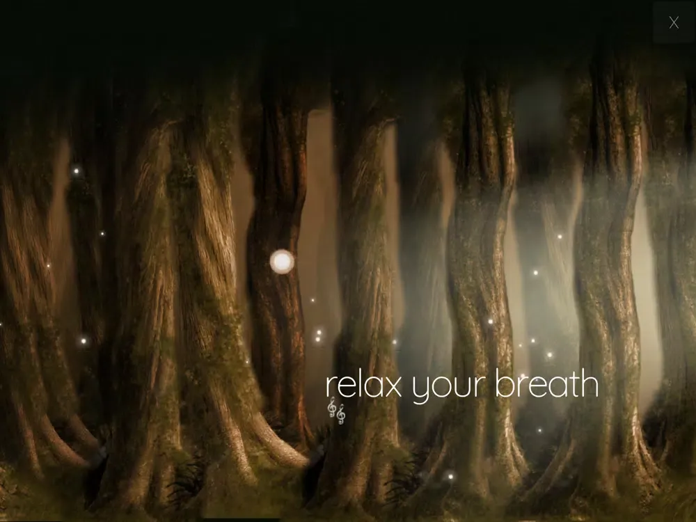 Captures d'écran de Enchanted Forest Meditation iPad 