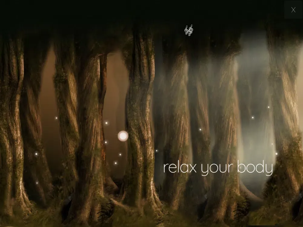 Captures d'écran de Enchanted Forest Meditation iPad 