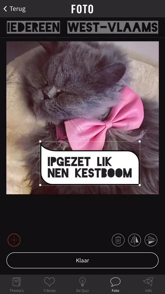 Iedereen West-Vlaams应用截图
