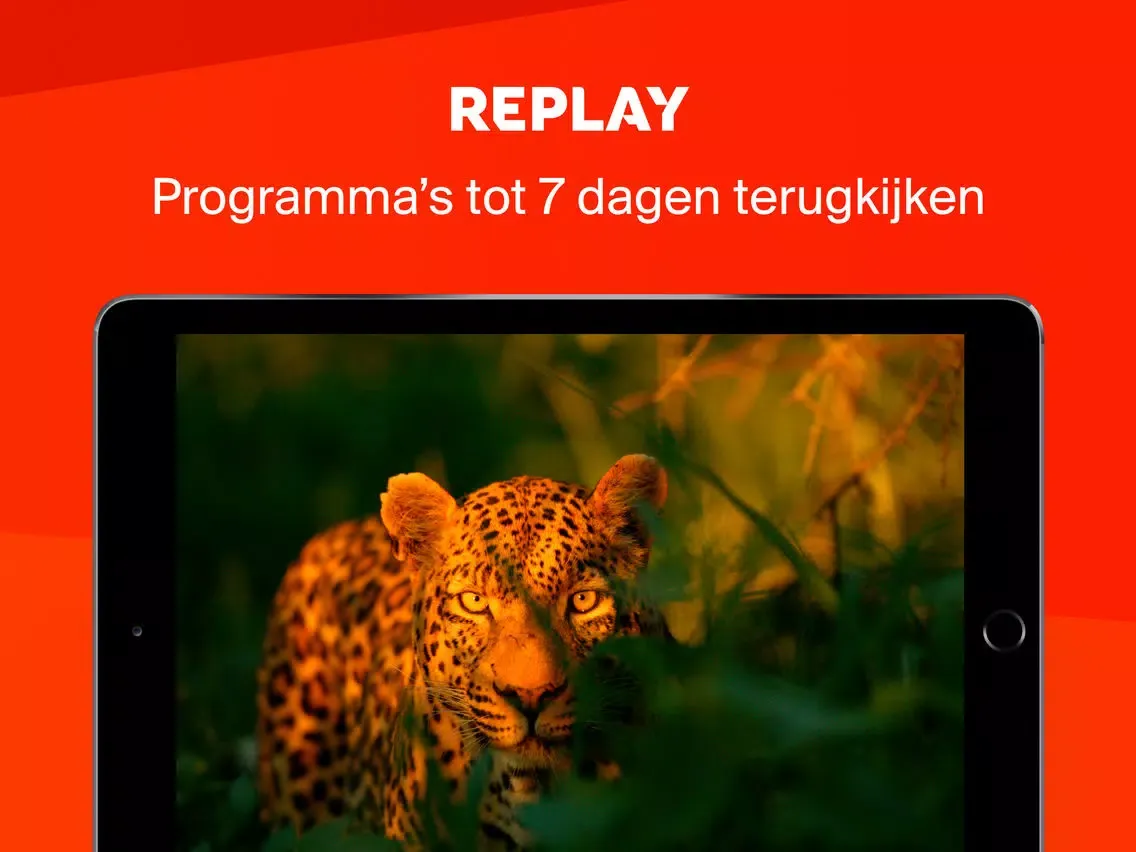 Capturas de tela do TV VLAANDEREN Live TV iPad 