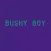 Bushy Boy Gaming Phrases