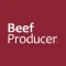 Beef Producer