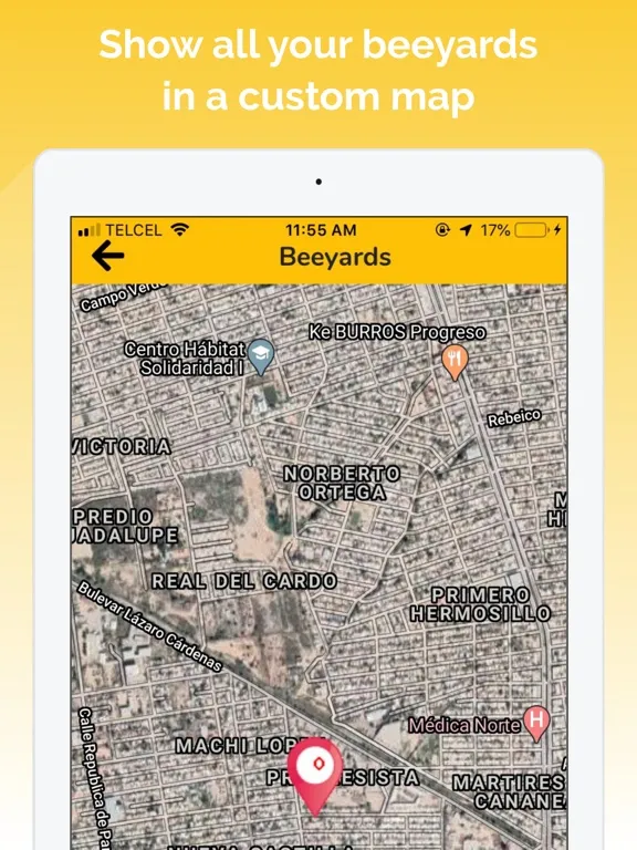 صور Beekeeper App iPad 