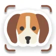 Dog Breed Identifier: AI