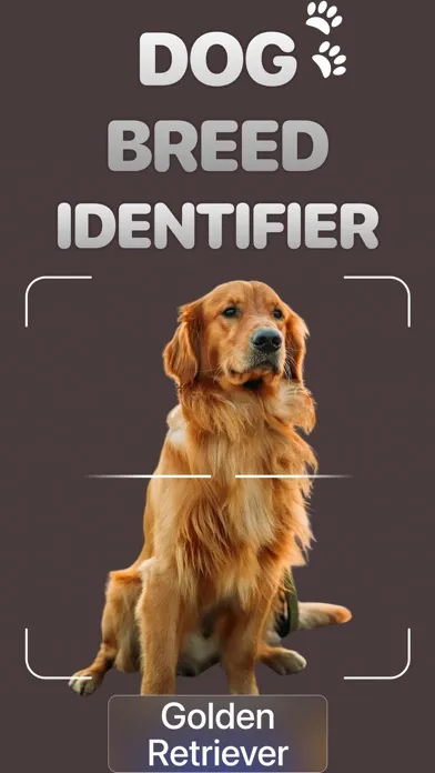 Tangkapan skrin Dog Breed Identifier: AI