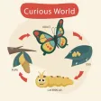Curious World: Preschool Learn Curious World: Preschool Learn
