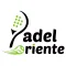 Padel Oriente