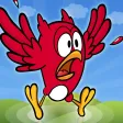 BIRD CAGE - Play To Win BIRD CAGE - Play To Win