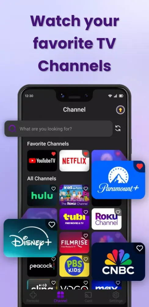 Tangkapan layar Remote Control For Ruku TV