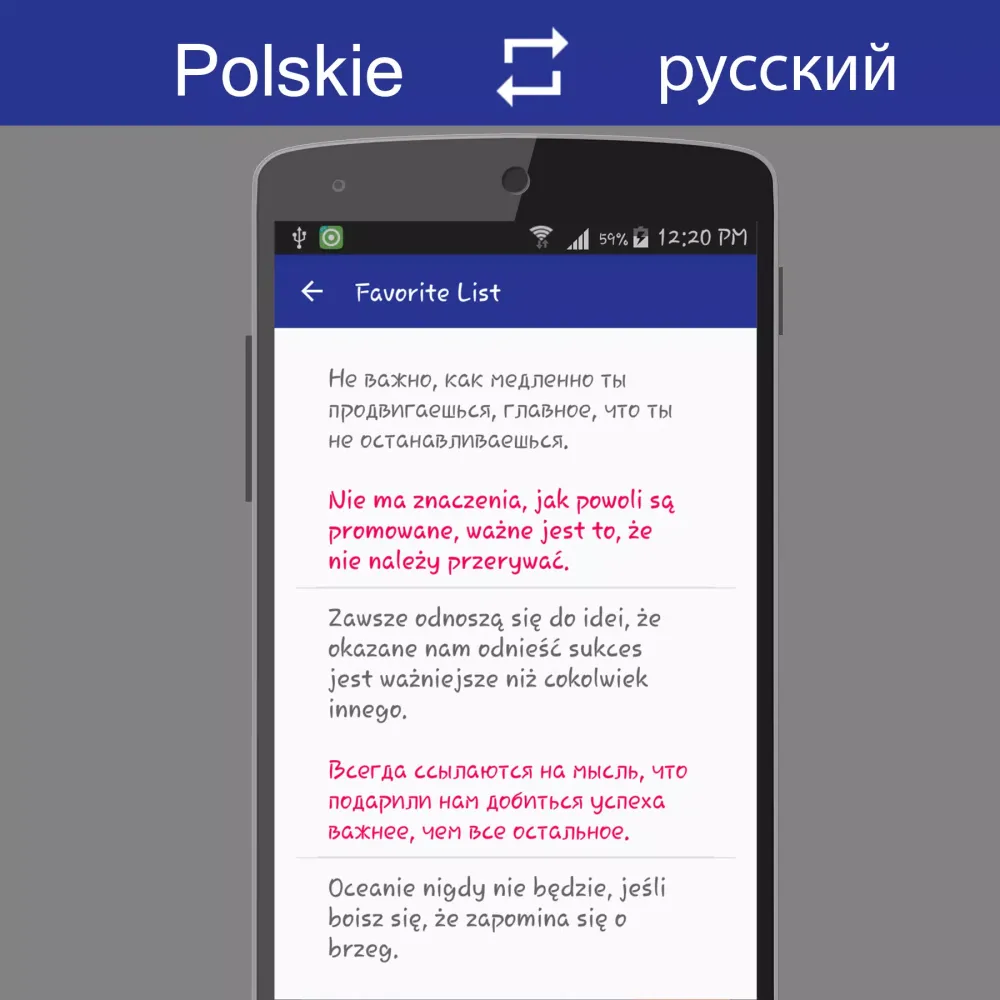 Polish Russian Translator স্ক্রিনশট