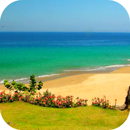 Sandy Beach Video Wallpaper