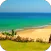 Sandy Beach Video Wallpaper