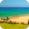 Sandy Beach Video Wallpaper