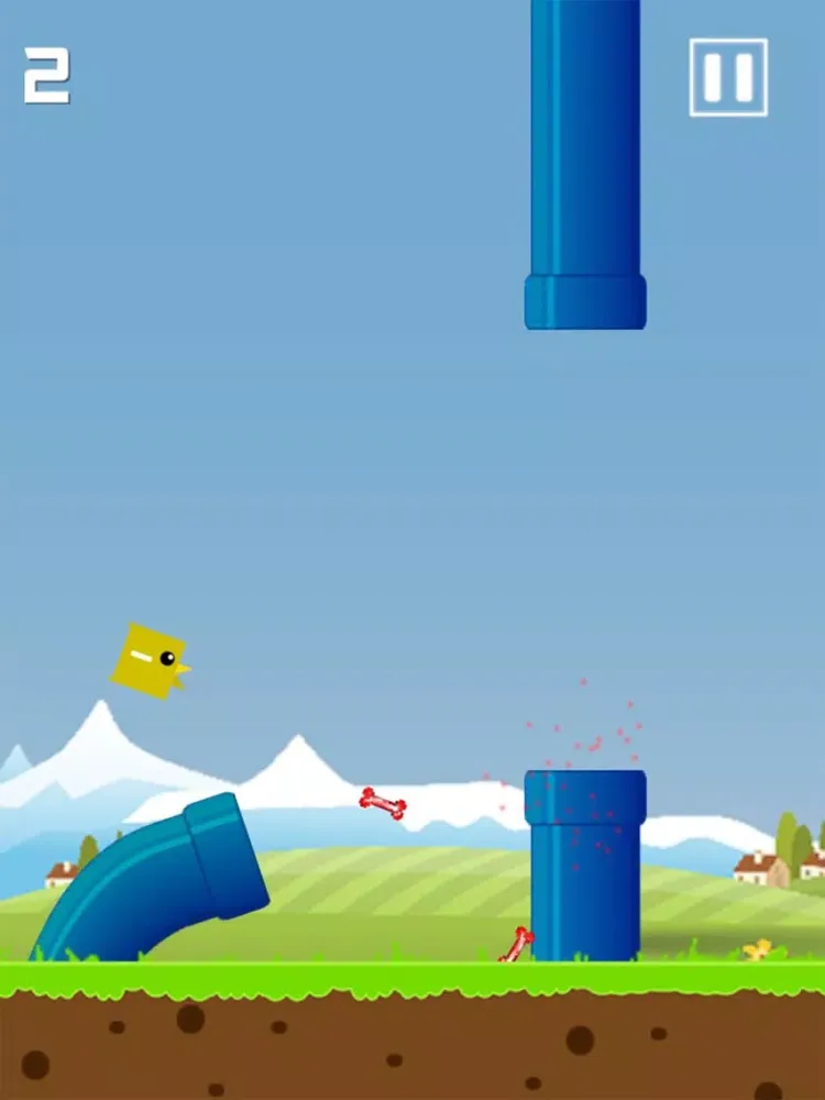 Bird Squash iPad 應用截圖
