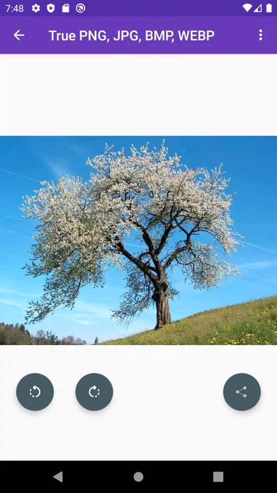 True PNG, JPG, BMP, WEBP Screenshots