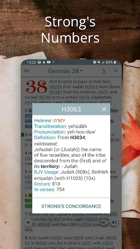 Bible Concordance & Strongs Screenshots