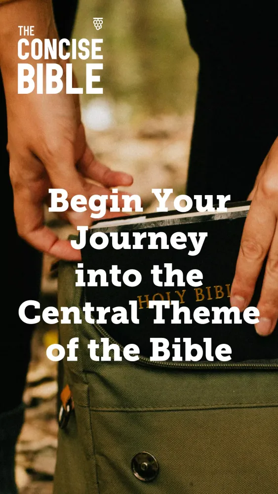 ภาพหน้าจอของ Concise Bible