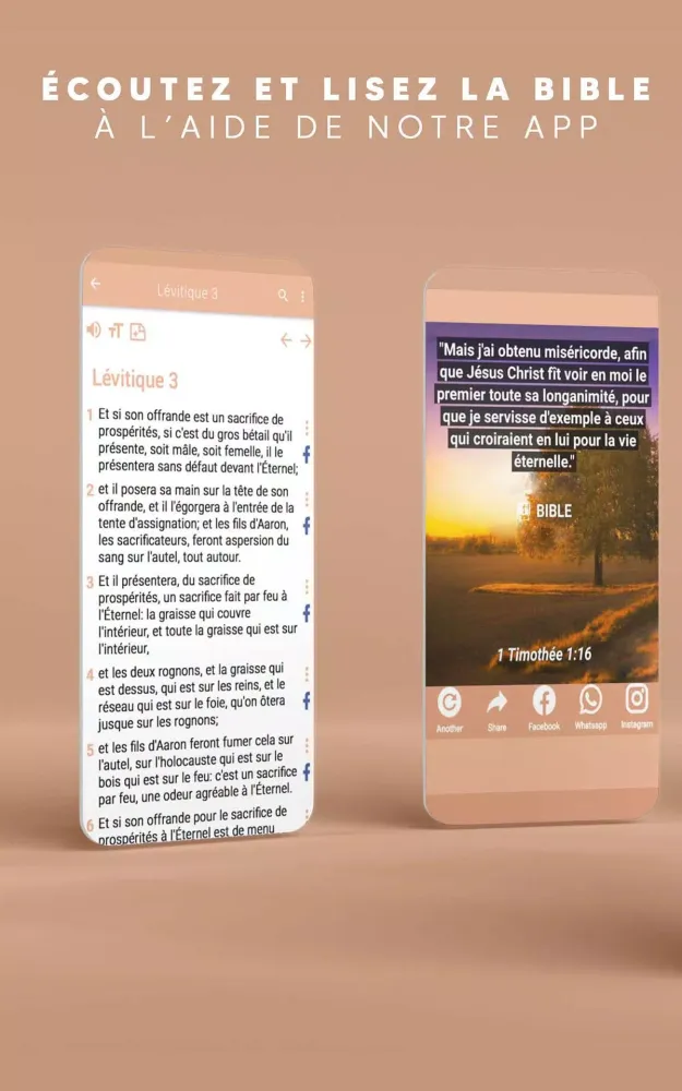 Bible Darby en français应用截图