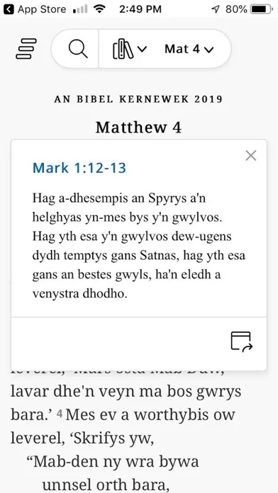 Bibel Sans স্ক্রিনশট