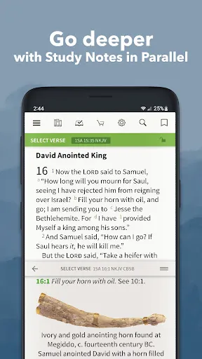 Bible App by Olive Tree Screenshots