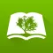 Bible App by Olive Tree