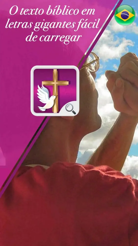 Bíblia Letra Gigante Screenshots