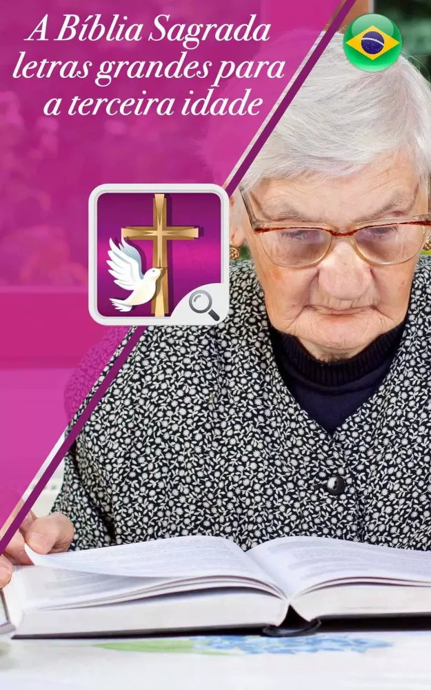 Bíblia Letra Gigante Screenshots