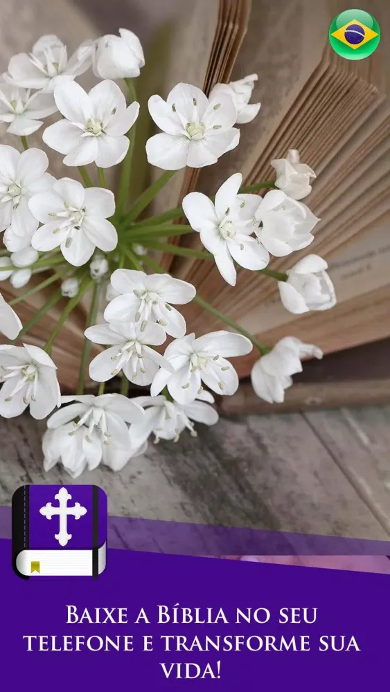 Bíblia Católica completa Screenshots