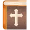 Study Bible for young people