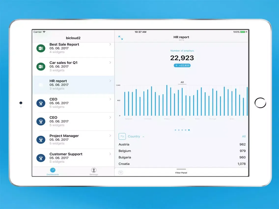 BIView -Business Intelligence iPad  স্ক্রিনশট