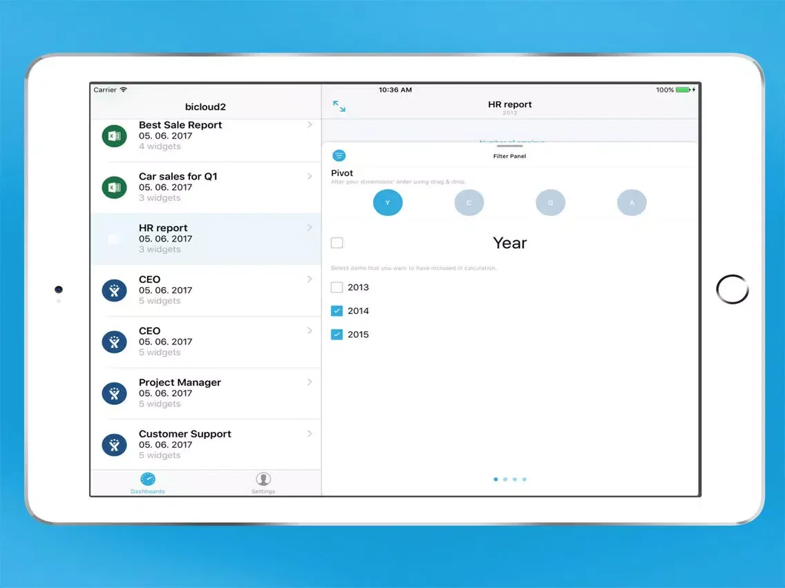 BIView -Business Intelligence iPad  স্ক্রিনশট