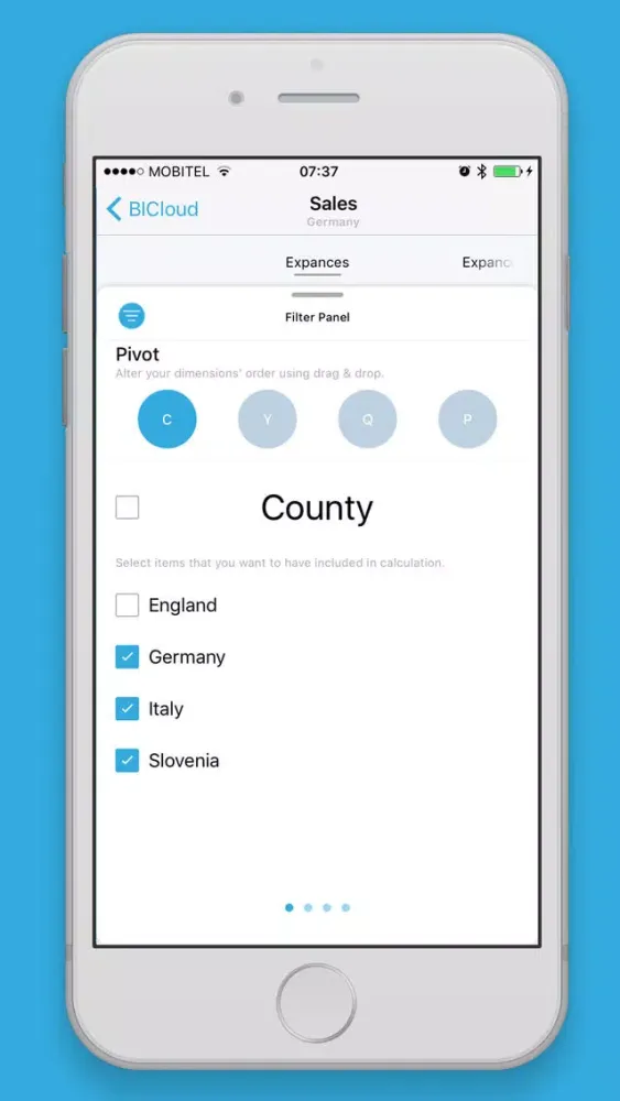 BIView -Business Intelligence স্ক্রিনশট