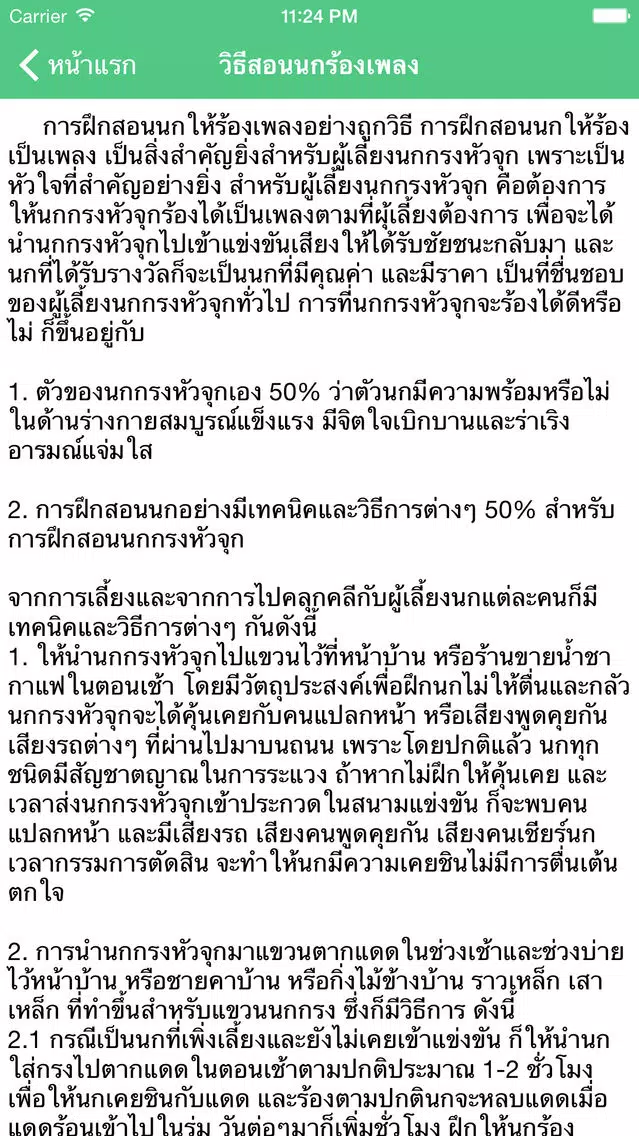 นกกรงหัวจุก Ekran Görüntüleri