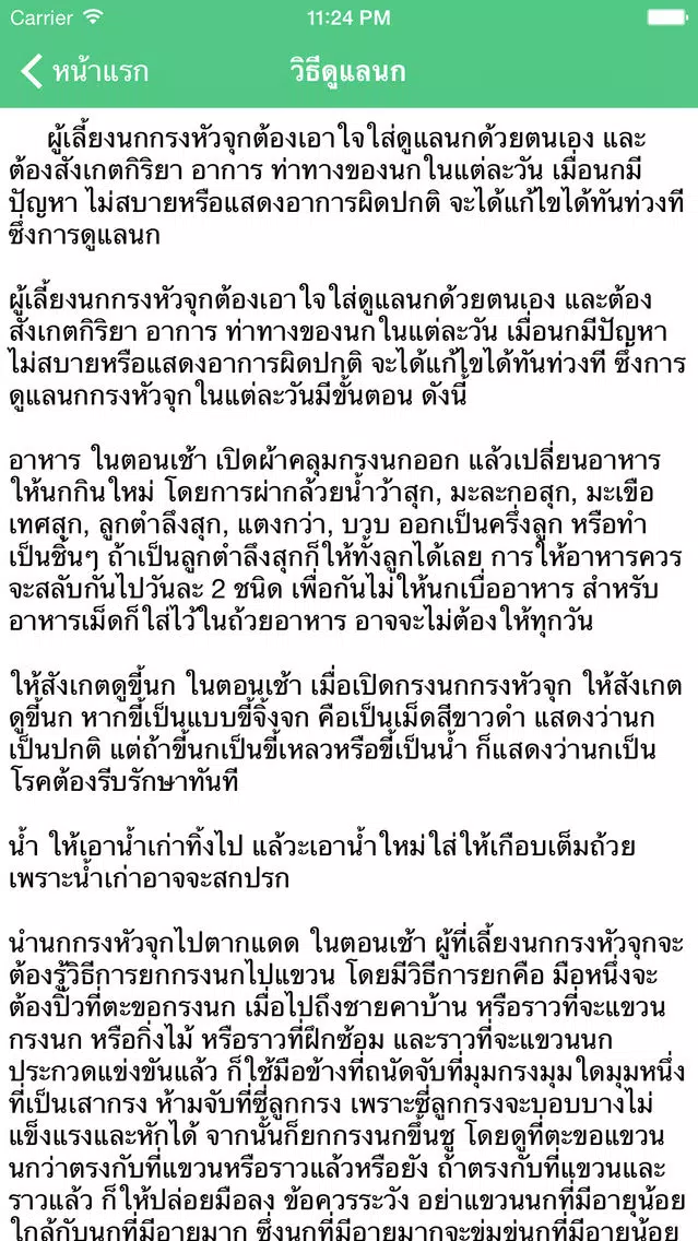 นกกรงหัวจุก Ekran Görüntüleri