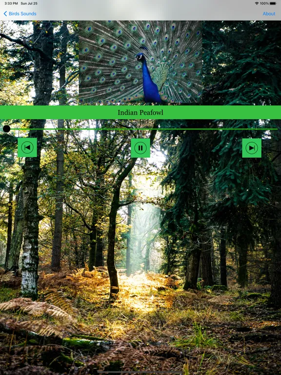 100 Bird Sounds iPad 应用截图