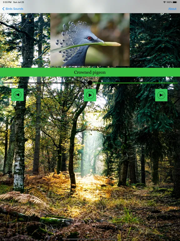 100 Bird Sounds iPad 应用截图