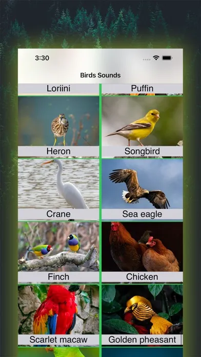 100 Bird Sounds应用截图