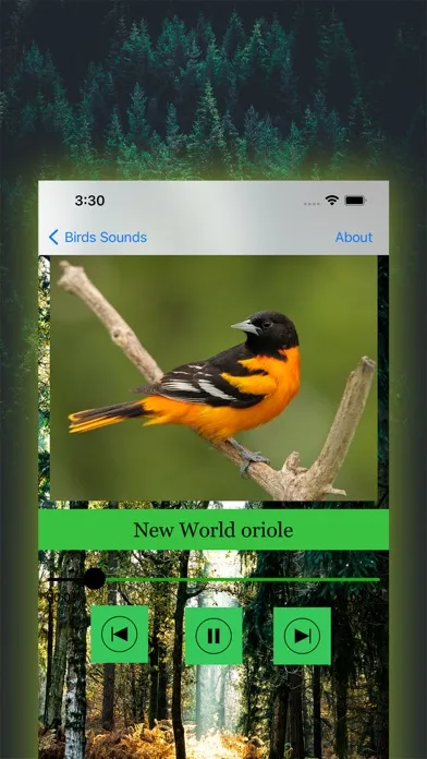 100 Bird Sounds应用截图