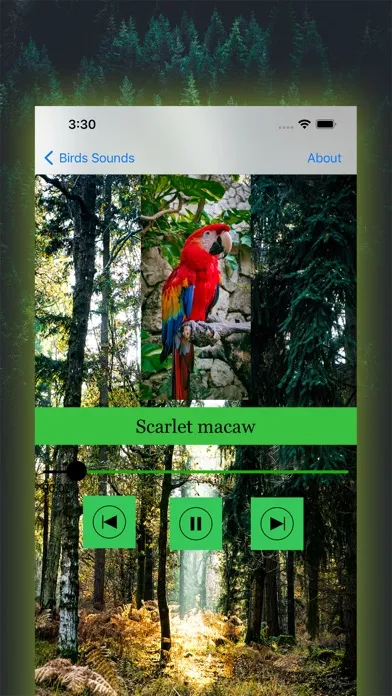 100 Bird Sounds应用截图